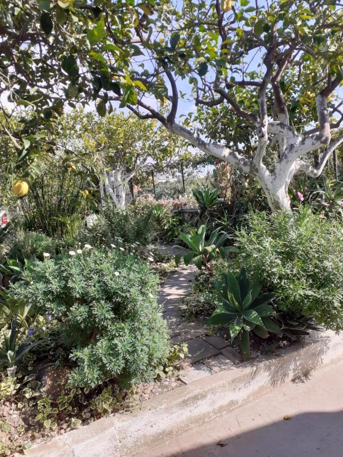 Casa Dei Sogni Vicino A Taormina Villa Calatabiano Esterno foto