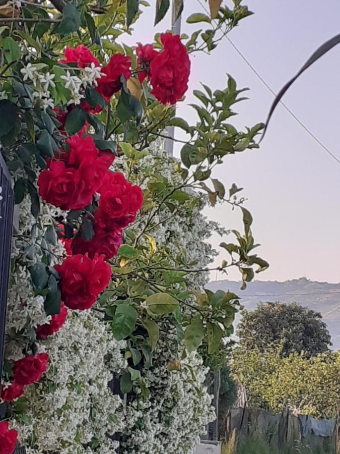 Casa Dei Sogni Vicino A Taormina Villa Calatabiano Esterno foto