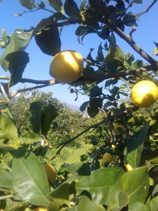 Casa Dei Sogni Vicino A Taormina Villa Calatabiano Esterno foto